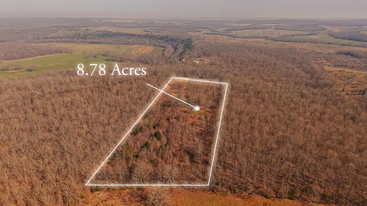 8125 Heart Road, Mammoth Spring, AR 72554 - #1