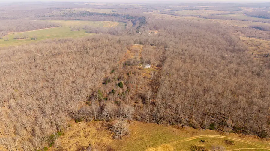 8125 Heart Road, Mammoth Spring, AR 72554 - #3