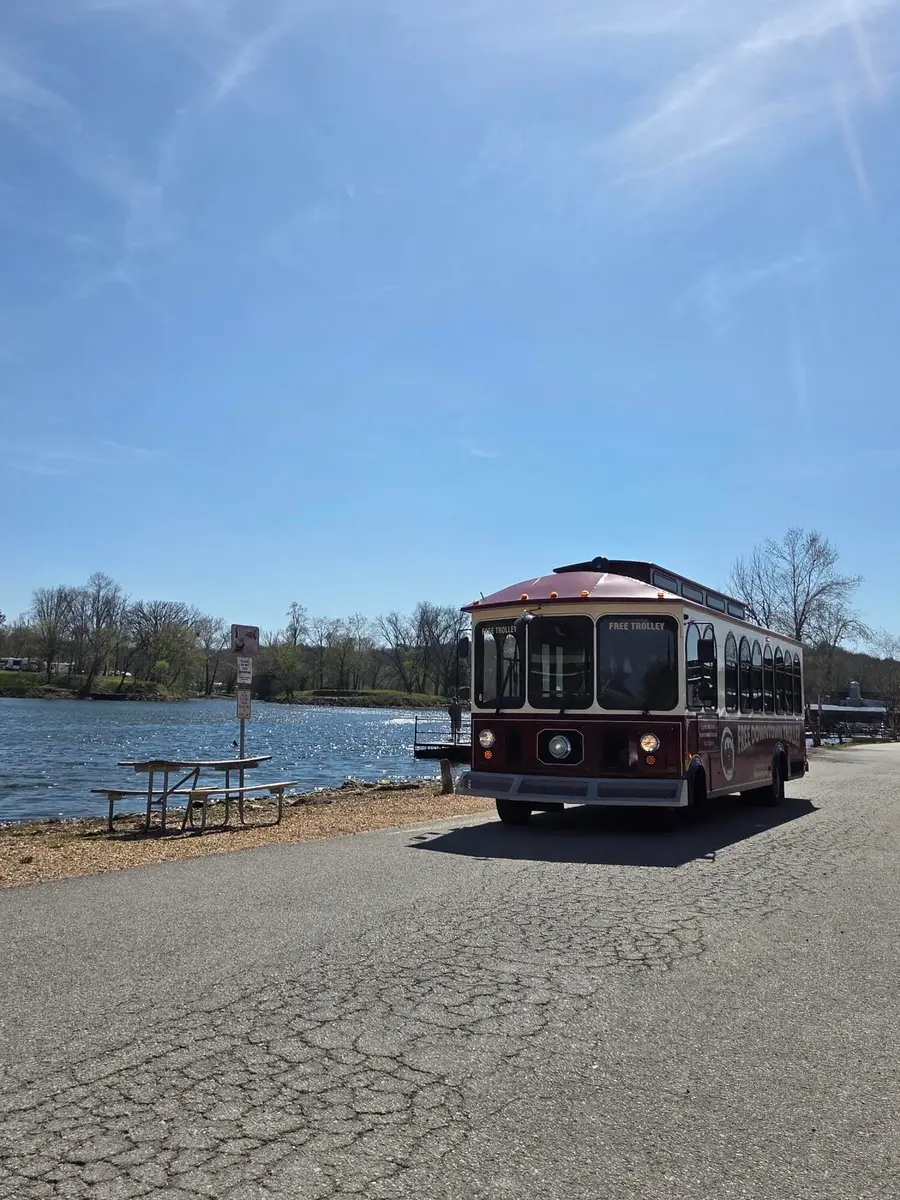 314 W College Street, Branson, MO 65616 - #2