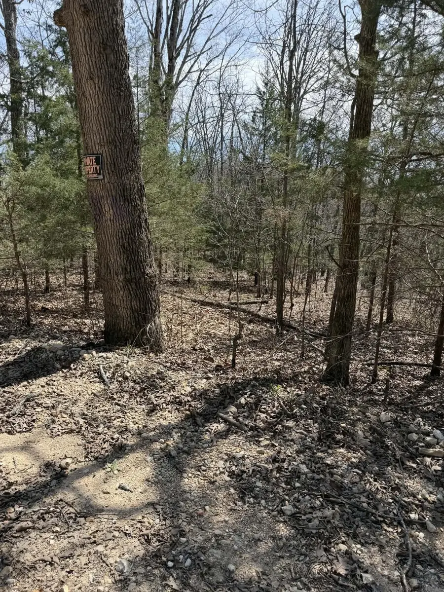 Tbd E 76 County Road 126 Track40/41, Norwood, MO 65717 - #3