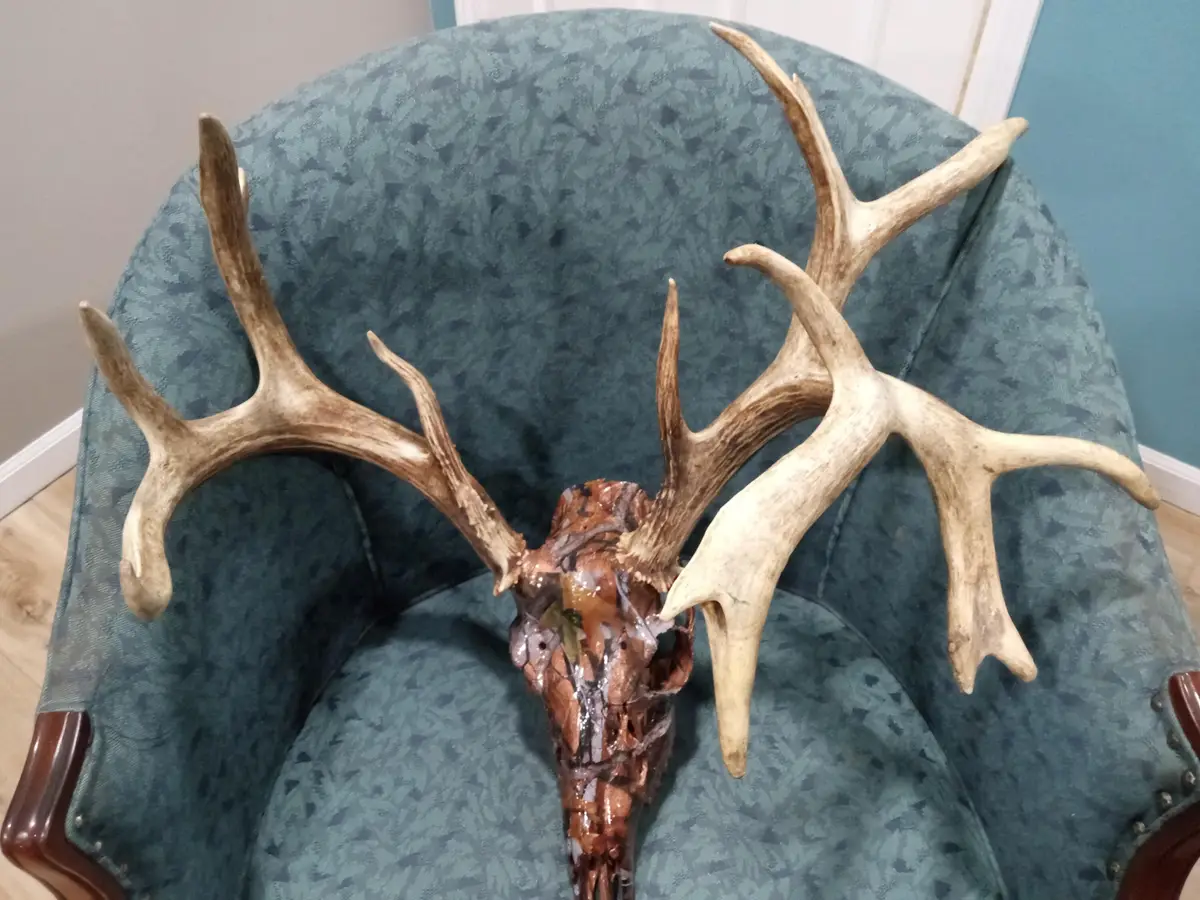 97 Three Springs, Long Lane, MO 65590 - #1