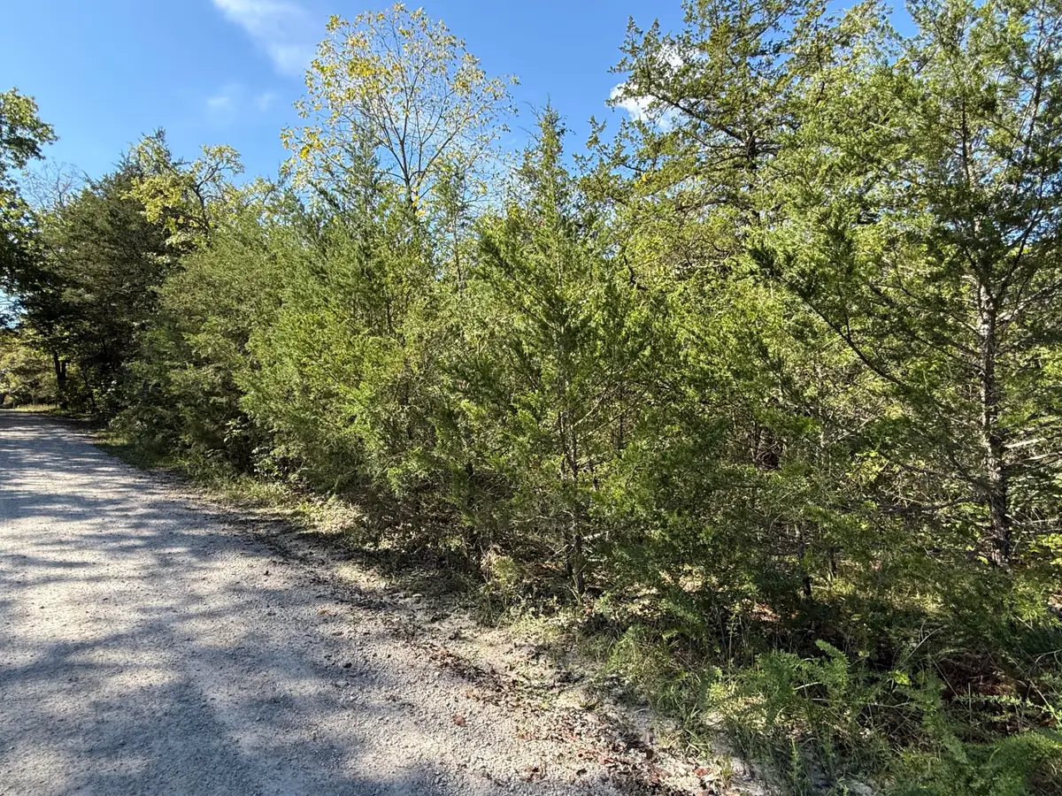 Lot 23 Daisy Lane, Lampe, MO 65681 - #1