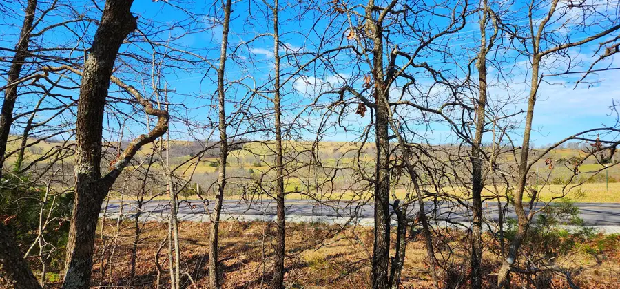 000 Ak Hwy S Ak Highway S, Ava, MO 65608 - #3