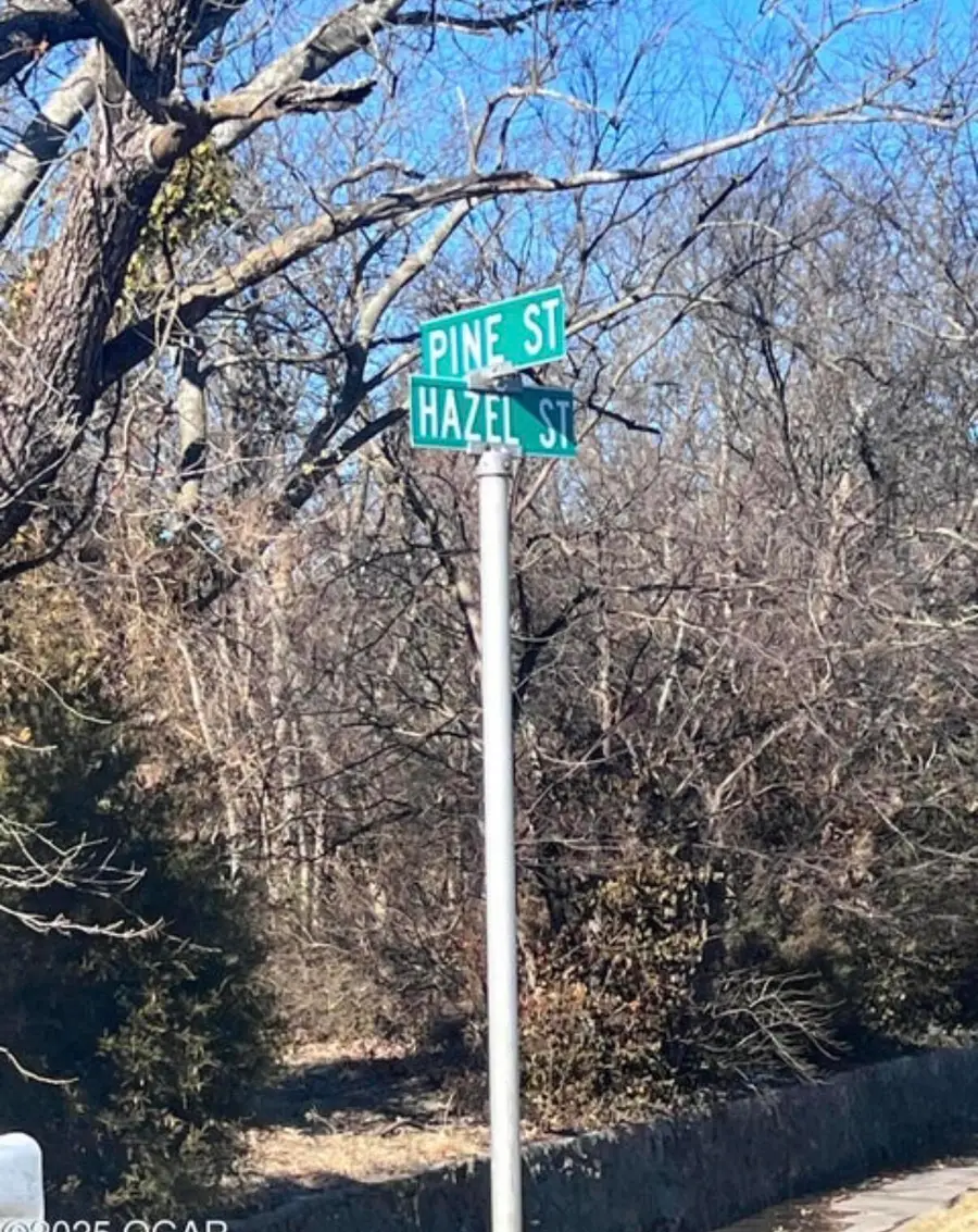 Tbd Hazel Avenue, Carthage, MO 64836 - #3