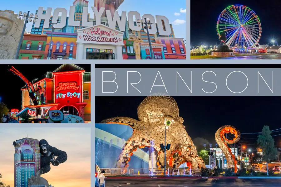 202 Palmer Drive, Branson, MO 65616 - #2