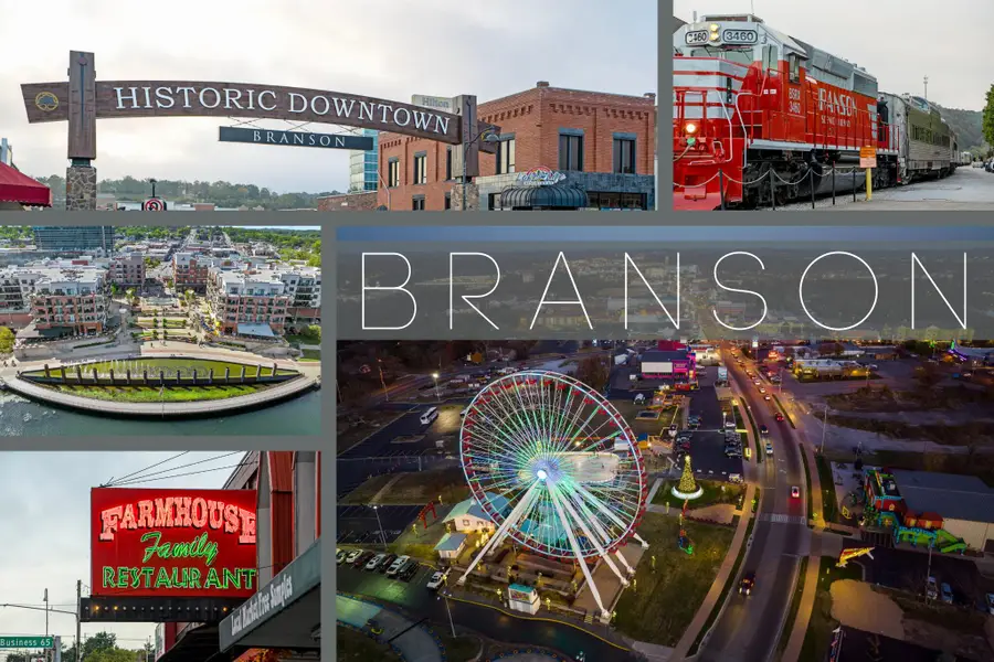 202 Palmer Drive, Branson, MO 65616 - #3