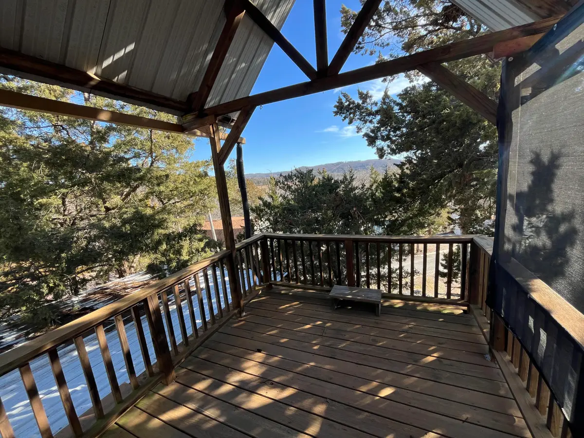 145 Avalanche Avenue, Hollister, MO 65672 - #1