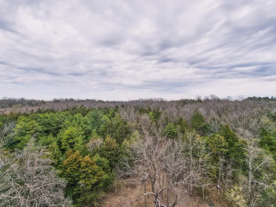 11239 Stave Mill Road, Mountain Grove, MO 65711 - #3