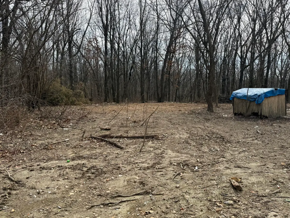 5116 State Highway Ww, Verona, MO 65769 - #1