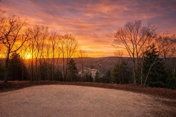 711 Crows Nest Trail, Branson, MO 65616