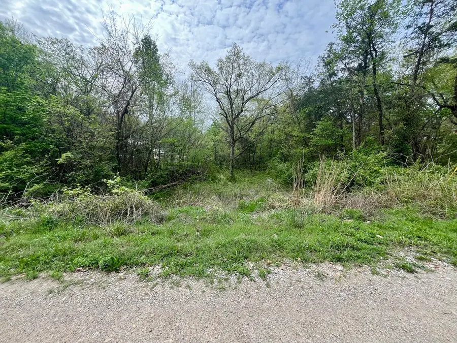 3014 Bluebird Road, Merriam Woods, MO 65740 - #3