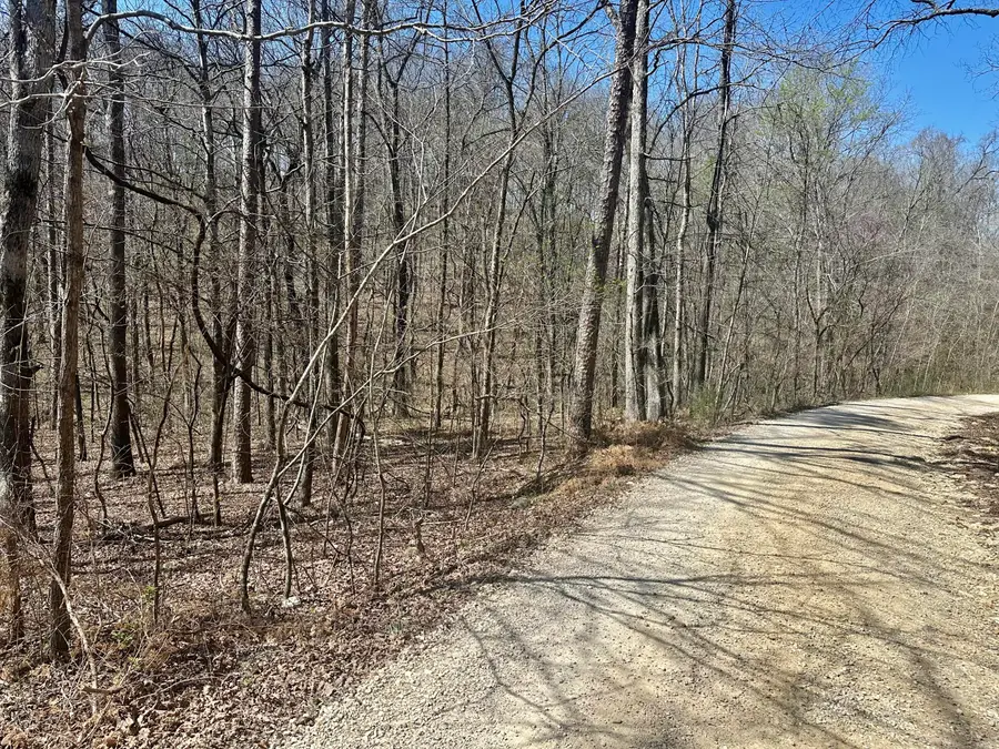 000 Water Tower Road, Van Buren, MO 63965 - #3