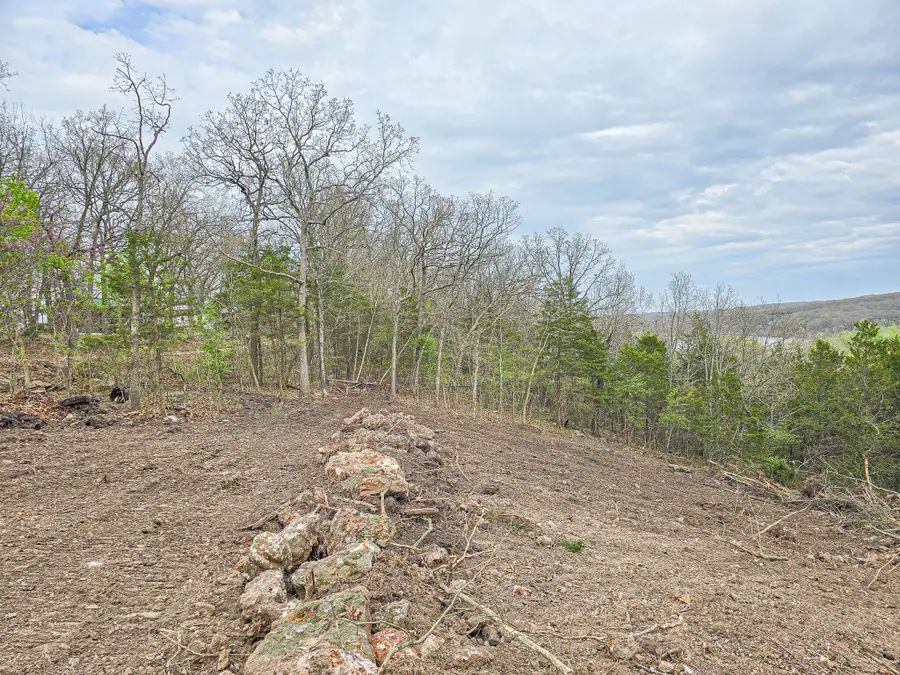 00 Easy Street, Pittsburg, MO 65724 - #3