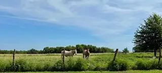 000 State Highway 83, Weaubleau, MO 65774