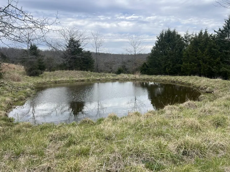 000 County Road A-425, Ava, MO 65608 - #2