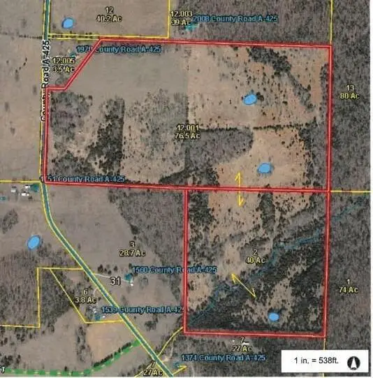 000 County Road A-425, Ava, MO 65608 - #3