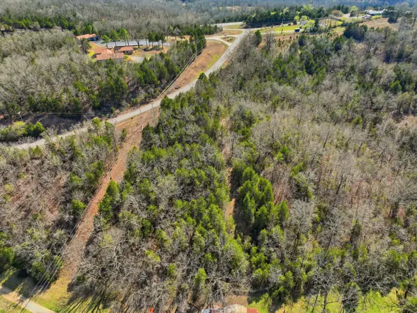 Lot 3 Hwy Mm, Gainesville, MO 65655