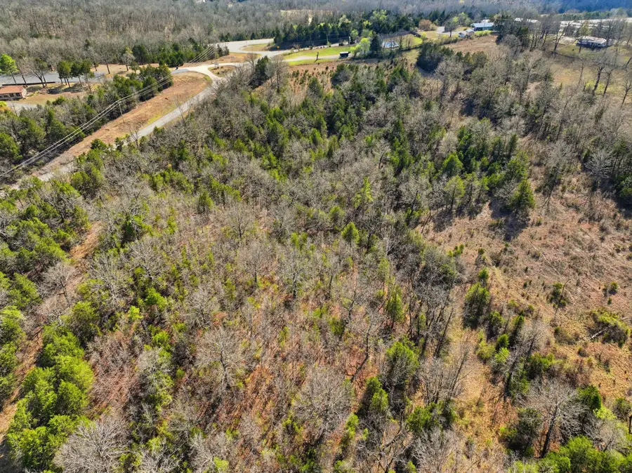Lot 3 Hwy Mm, Gainesville, MO 65655 - #2