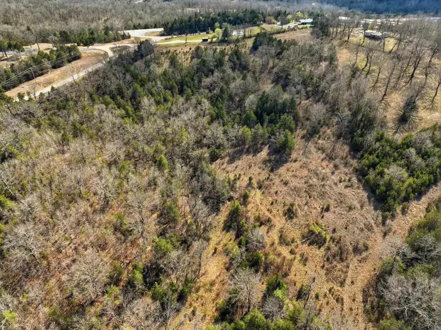 Lot 3 Hwy Mm, Gainesville, MO 65655 - #3