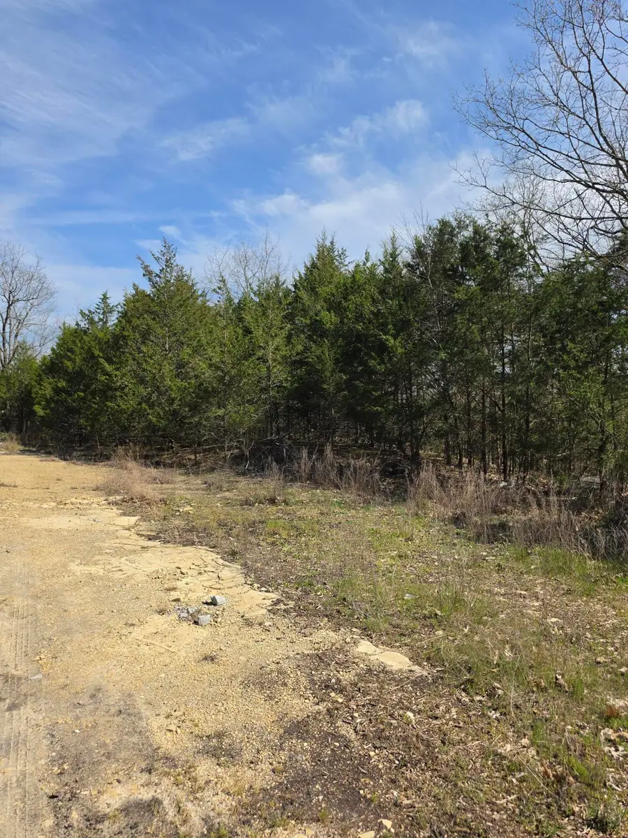 000 Beeler Road, Branson, MO 65616 - #3