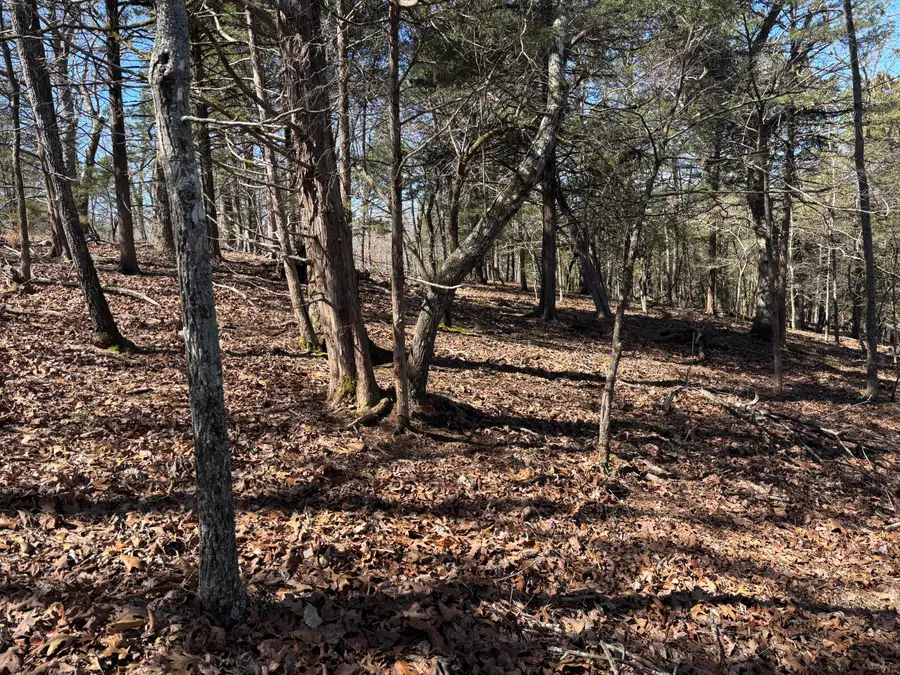 6073 County Road 647, Theodosia, MO 65761 - #2