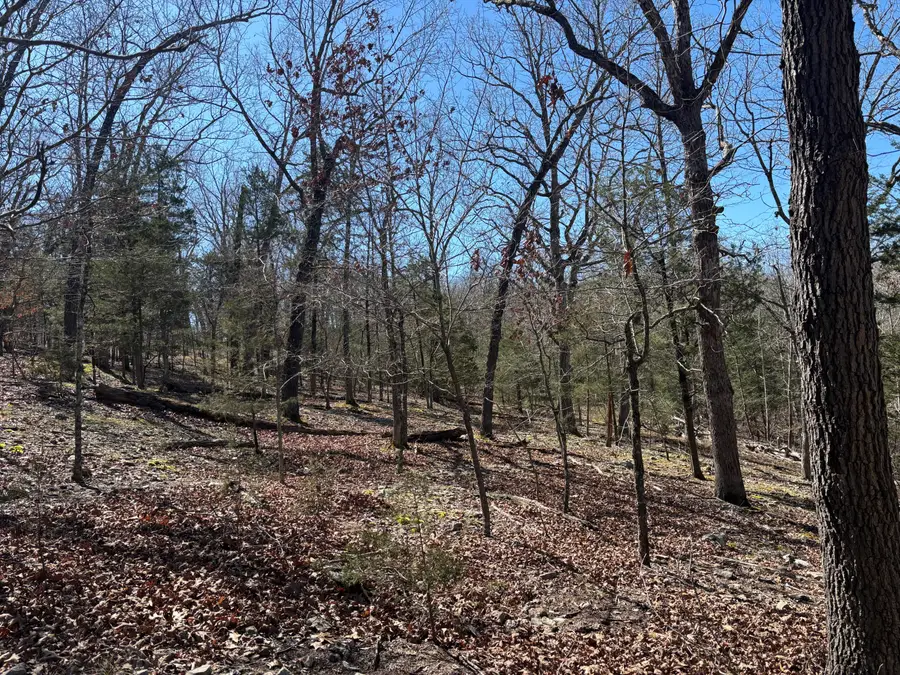 6073 County Road 647, Theodosia, MO 65761 - #3