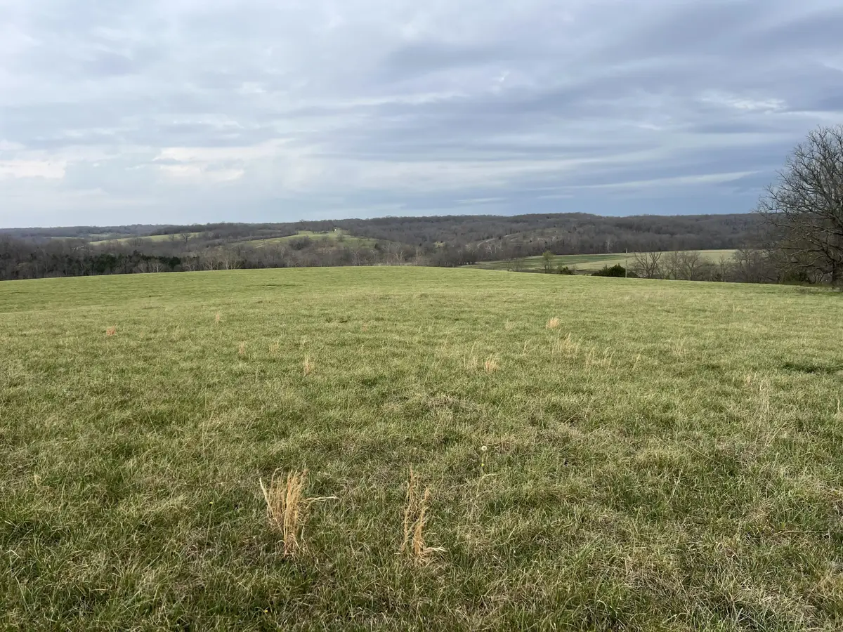 000 Curtner Road, Norwood, MO 65717 - #1