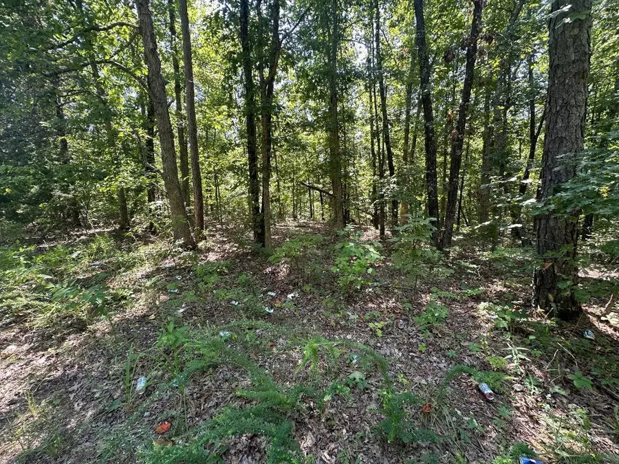 00000 Whispering Pines Lane, Licking, MO 65542 - #2