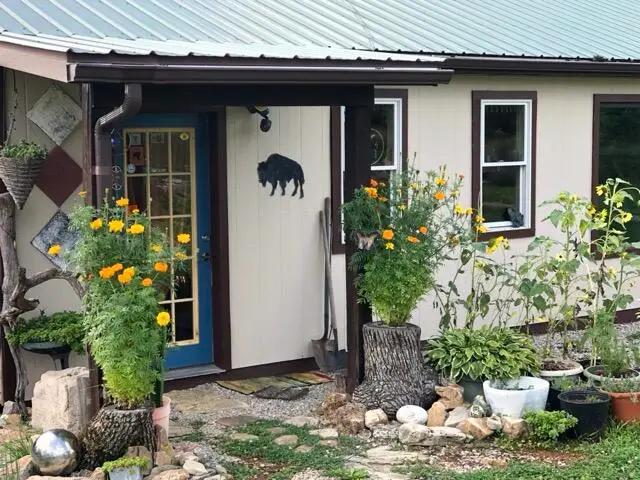 Rr1 Box 335 County Road 509 Road, Ava, MO 65608 - #2