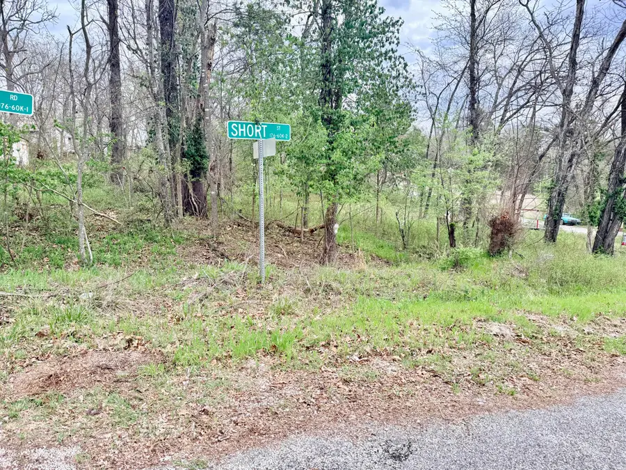 215 Short Street, Rockaway Beach, MO 65740 - #3