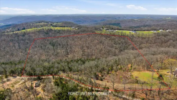 000 Bray Mines Road, Oldfield, MO 65720