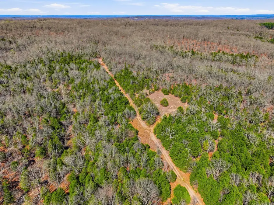 2480 County Road #317, Wasola, MO 65773 - #3