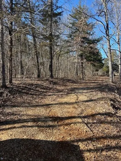 7789 W Co Rd T-561, Ava, MO 65608 - #2