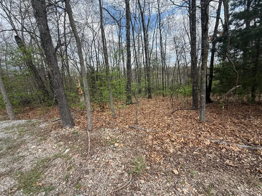 Lot 11&12 Entry Road, Ridgedale, MO 65739 - #3