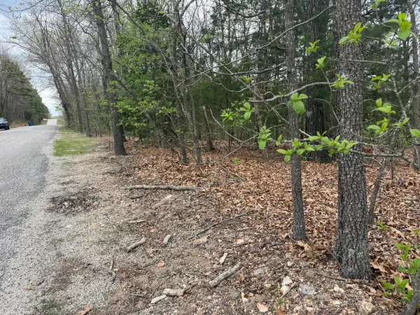 Lot 10 Entry Road, Ridgedale, MO 65739