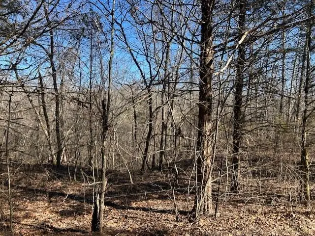 7789 E Co Road #T-561, Ava, MO 65608 - #1