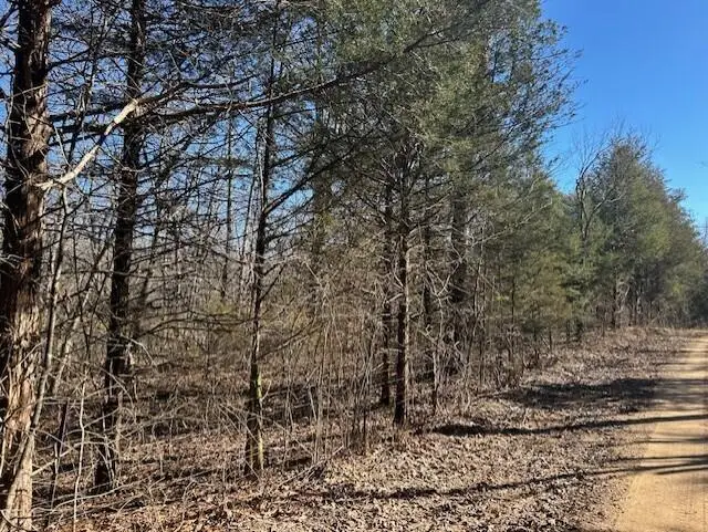 7789 E Co Road #T-561, Ava, MO 65608 - #2