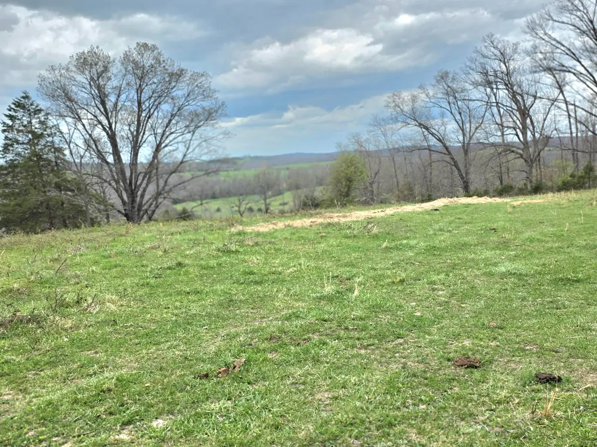 10103 Dogwood Road, Mountain Grove, MO 65711 - #1