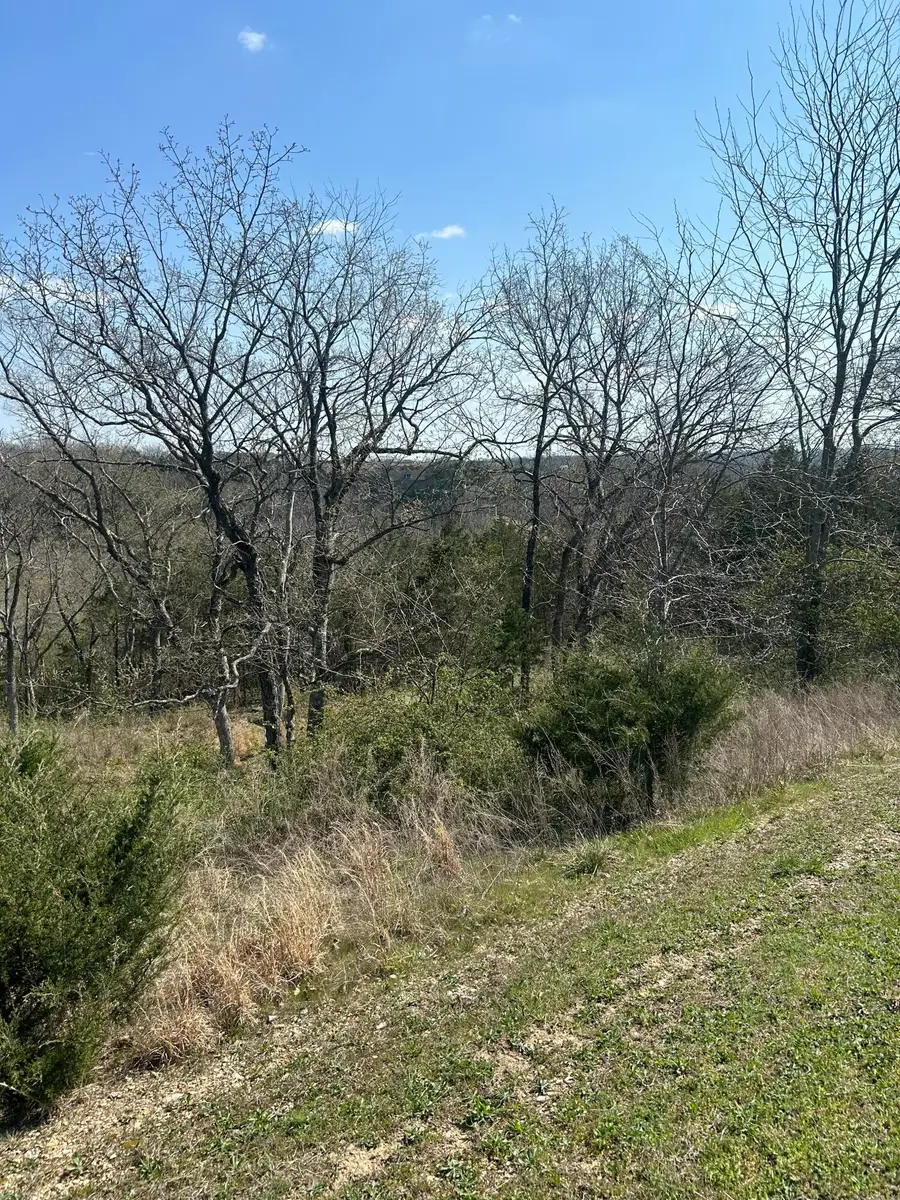 000 Pebble Beach Lot 6a Drive, Branson, MO 65616 - #2