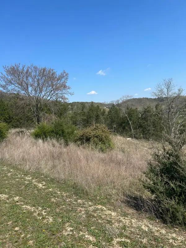 000 Pebble Beach Lot 5 Drive, Branson, MO 65616