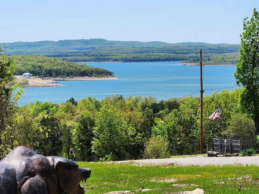 245 Velma Road, Protem, MO 65733 - #2