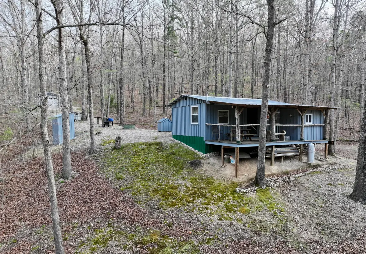 000 County Road 217, Van Buren, MO 63965 - #1