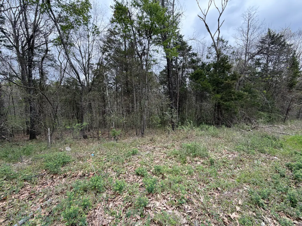 001 Holiday Hills Drive, Cape Fair, MO 65624 - #1