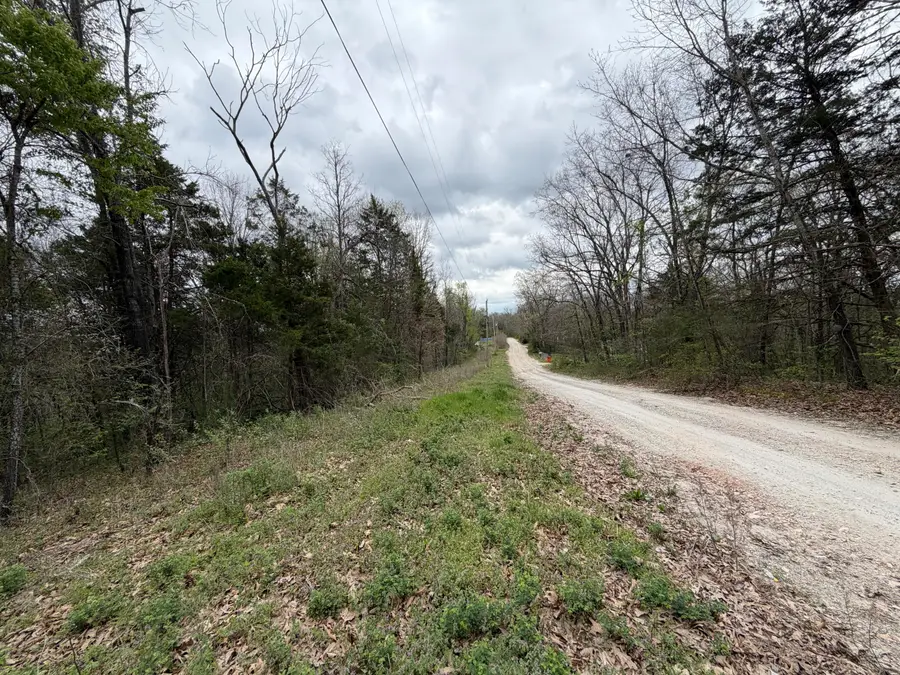 001 Holiday Hills Drive, Cape Fair, MO 65624 - #2