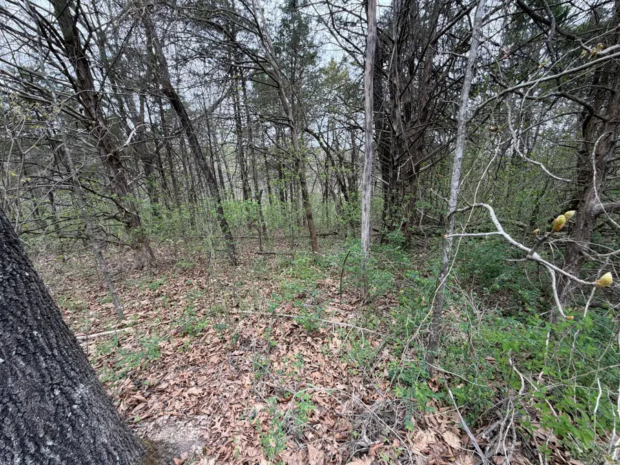 001 Holiday Hills Drive, Cape Fair, MO 65624 - #3