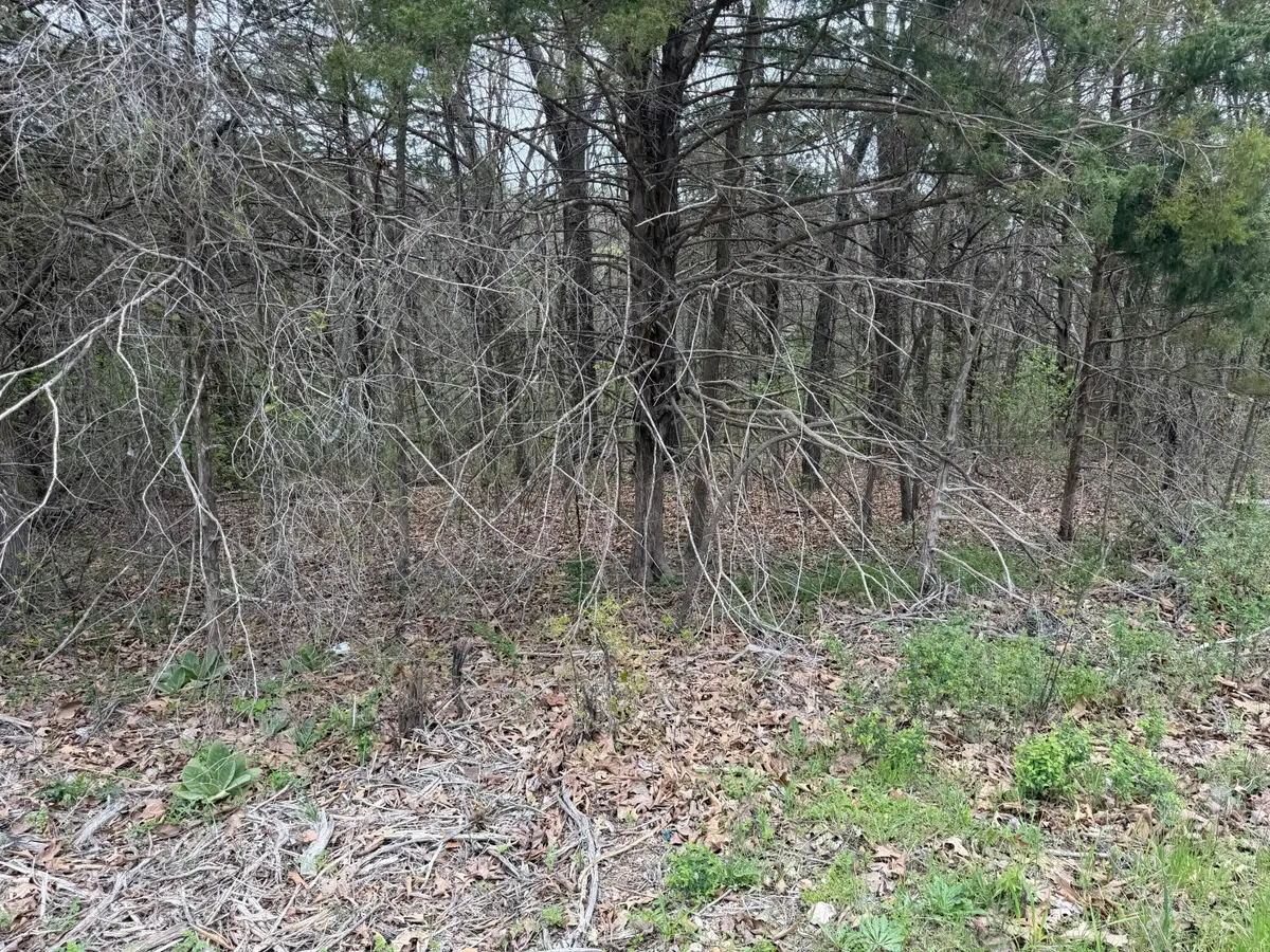 002 Holiday Hills Drive, Cape Fair, MO 65624 - #1