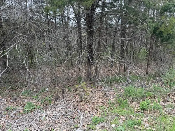 002 Holiday Hills Drive, Cape Fair, MO 65624