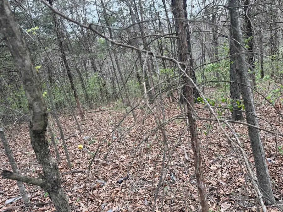 002 Holiday Hills Drive, Cape Fair, MO 65624 - #2