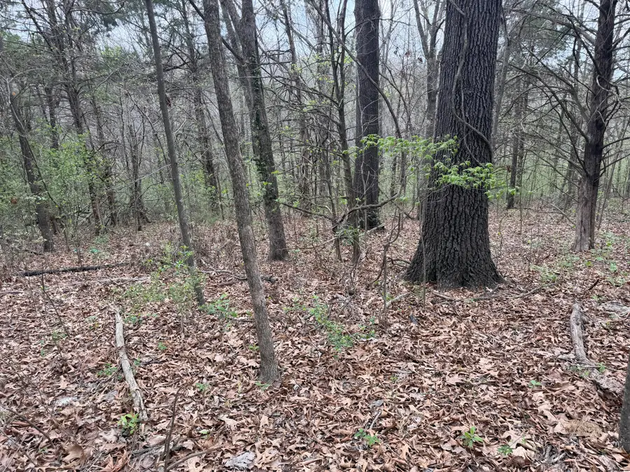 002 Holiday Hills Drive, Cape Fair, MO 65624 - #3