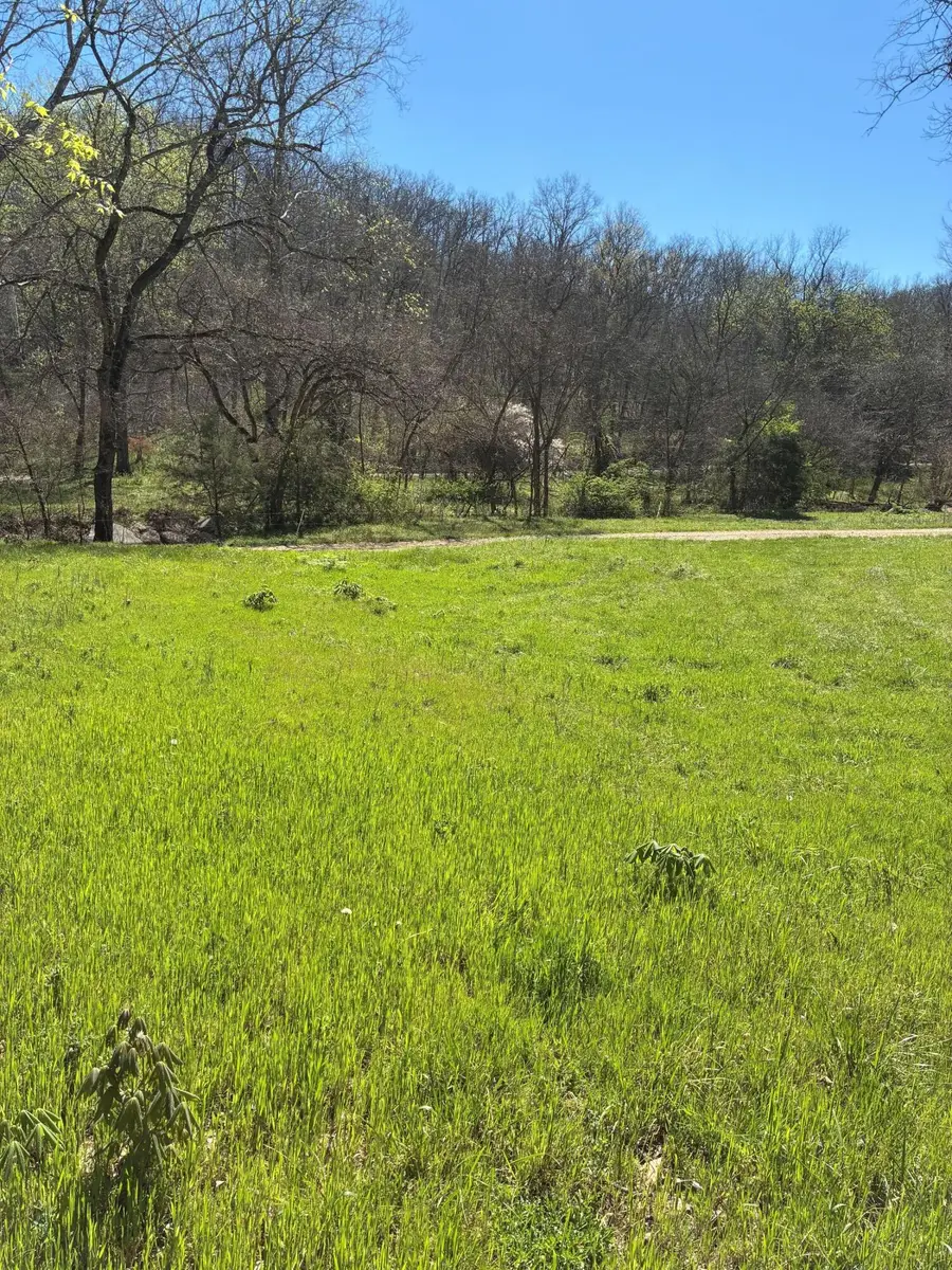 000 Aprils Bottom Drive, Sparta, MO 65753 - #2